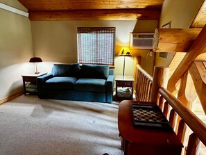 Smart TV, fireplace, DVD player, books