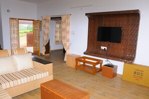 Televisión y chimenea