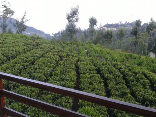 Sree Harshav Cottage, Kodamala