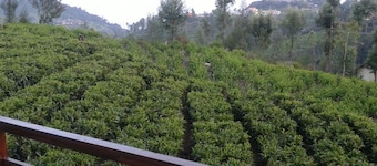 Sree Harshav Cottage, Kodamala