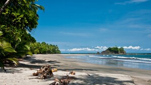 Una playa con cielos despejados, palmeras y un promontorio rocoso al fondo.