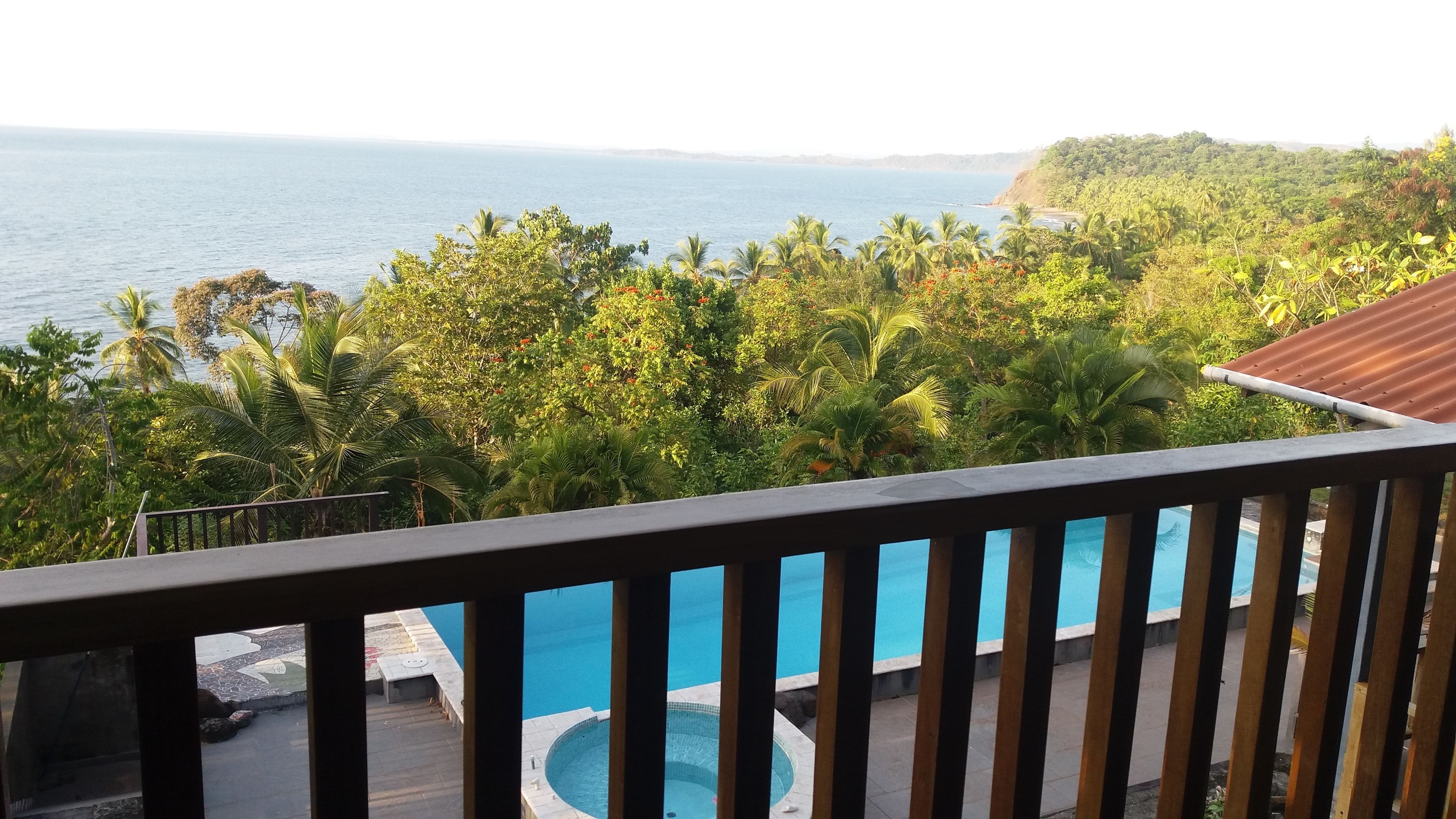 A pool area with a view of the sea and lush greenery.