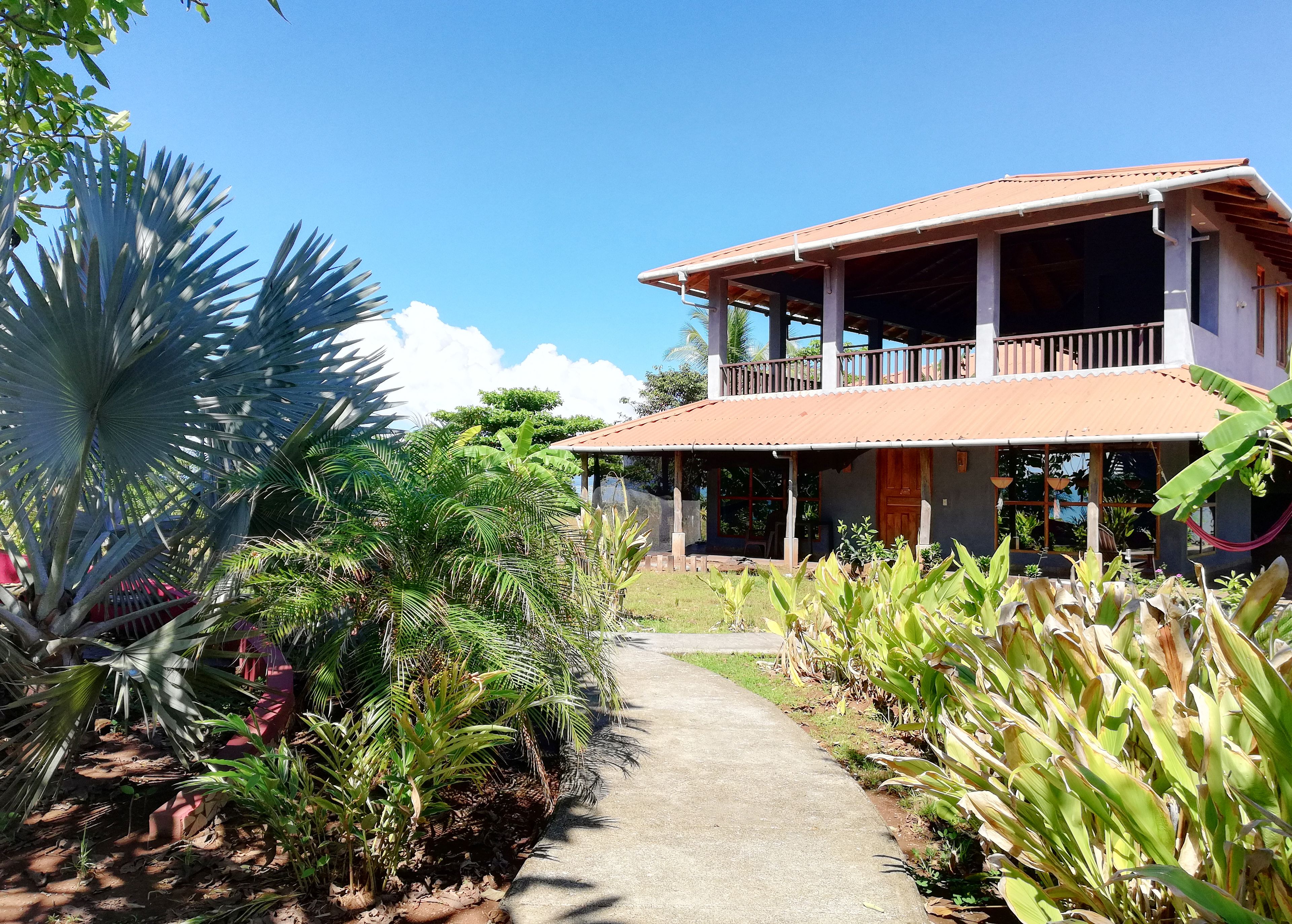 A two-story house with a balcony, surrounded by tropical plants and a concrete pathway.