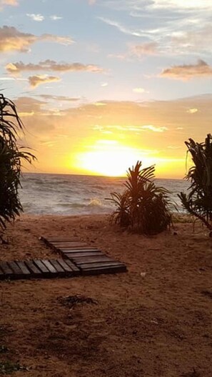 A beach with a wooden pathway leading to the water, palm trees, and a sunset.