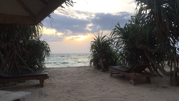 Una spiaggia con due poltrone di legno e un tavolino sotto un gazebo, con palme e l'oceano sullo sfondo.