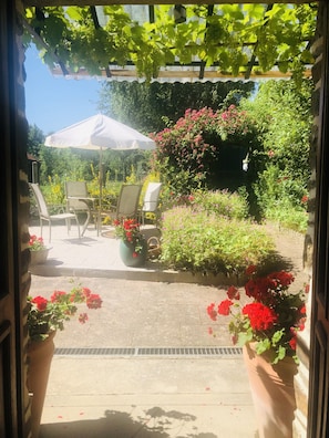 On aperçoit, à travers une porte, un patio aménagé avec du mobilier d’extérieur, une pergola couverte de plantes grimpantes et des plantes en pot ornées de fleurs rouges.
