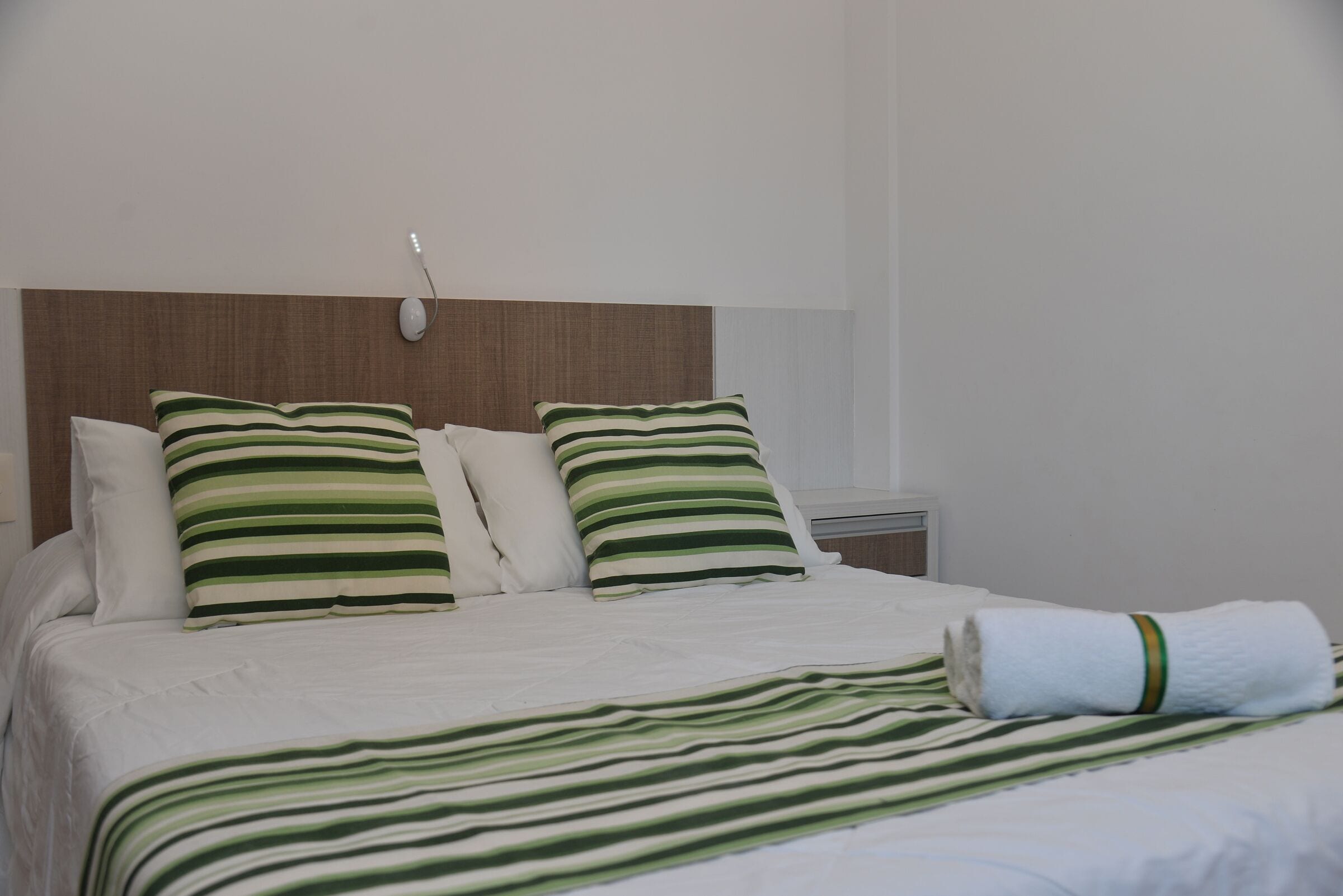 Apartamento premier, 1 cama de casal e sofá-cama, para não fumantes | 1 quarto, Wi-Fi de cortesia, roupa de cama