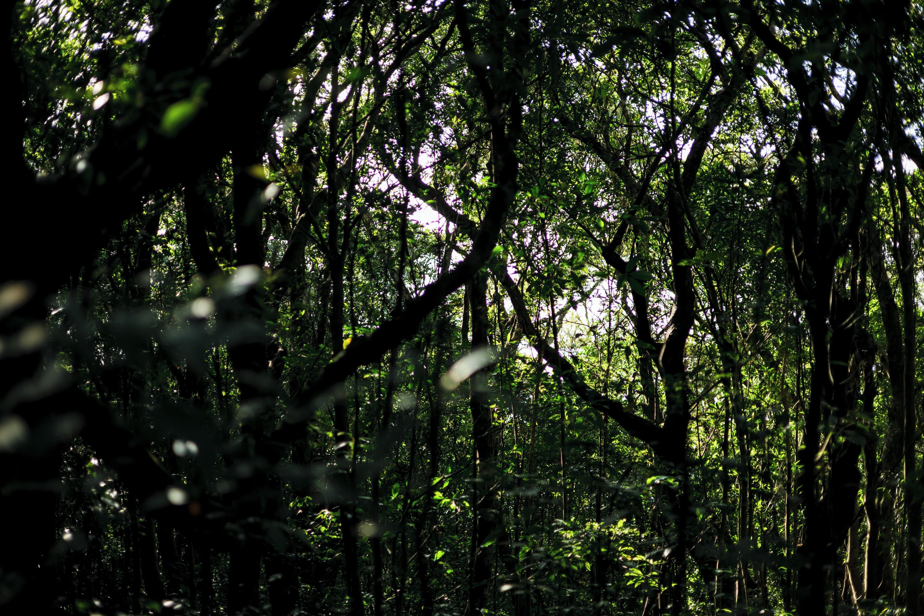 land view from property