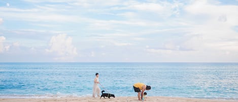 Nära stranden