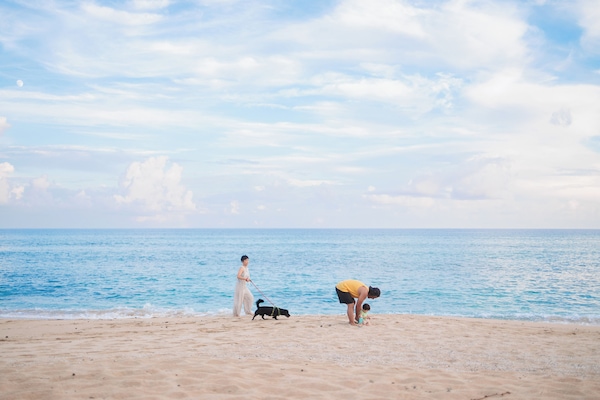 Vlak bij het strand