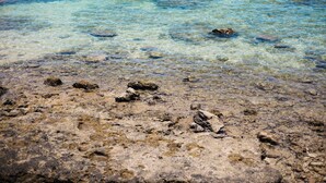 靠近海滩