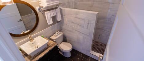 A modern bathroom with a sink, toilet, and shower.