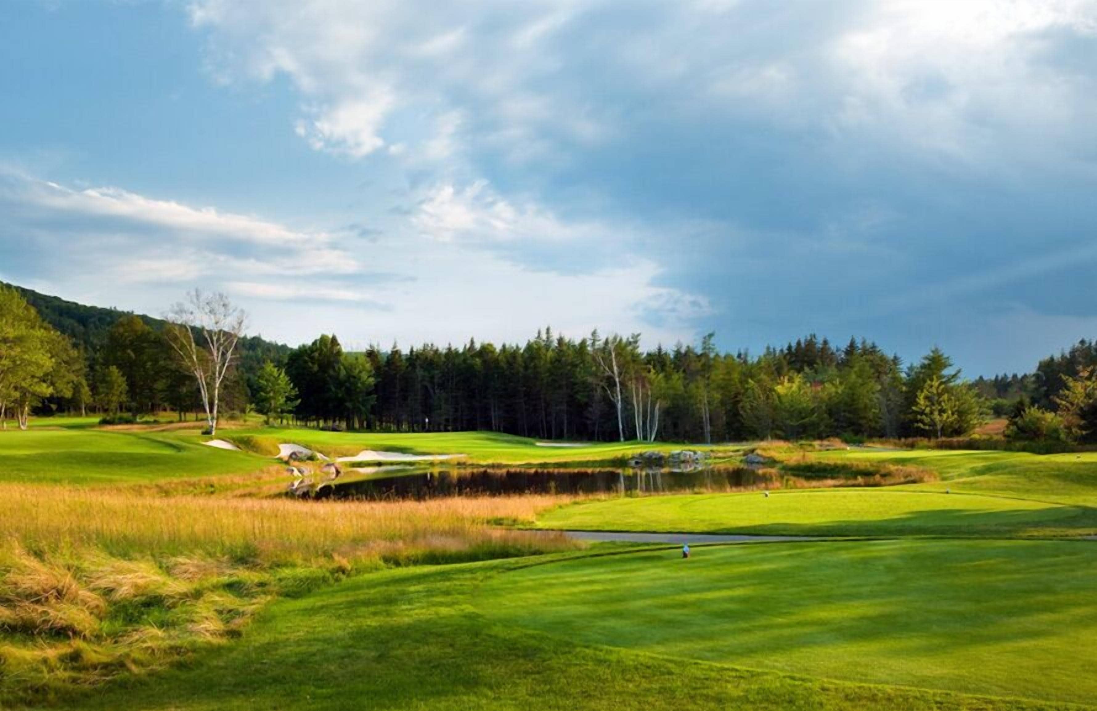 A golf course with a pond, trees, and a clear sky.