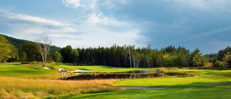 A golf course with a pond, trees, and a clear sky.