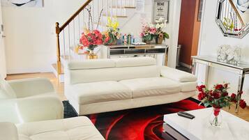 Smart TV, fireplace, video games, books