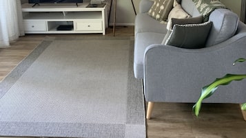 Smart-tv, dvd-afspiller, videobibliotek, stereoanlæg