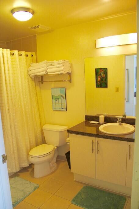 Tina, secadora de cabello, toallas, jabón 