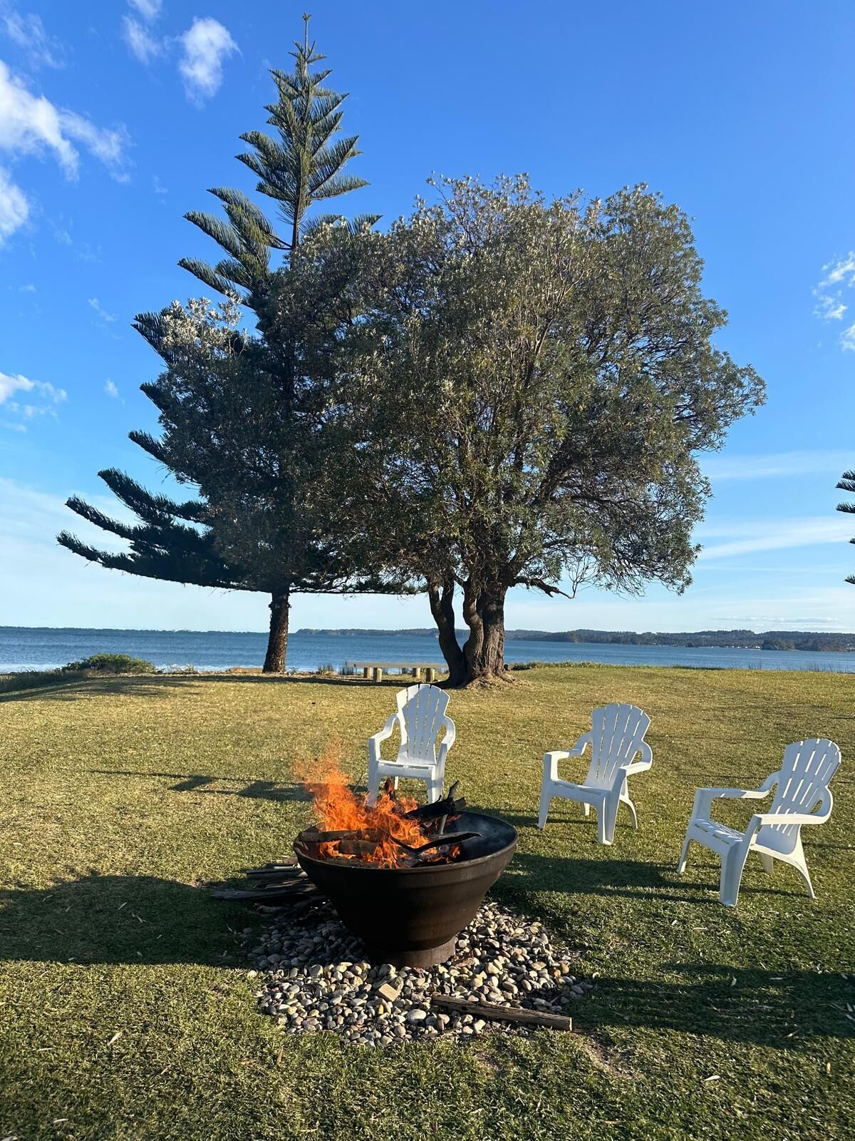 A grassy area with a fire pit, three white chairs, and a large tree.