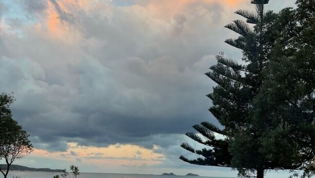 A backyard with a fire pit, three white Adirondack chairs, and a large tree. - 🏖️ Absolute Beachfront Long Beach -The Beach Is Your Backyard Pet Friendly (Long Beach)