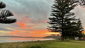 A coastal landscape with a large coniferous tree, grassy areas, and a distant view of the sea and a bridge. - 🏖️ Absolute Beachfront Long Beach -The Beach Is Your Backyard Pet Friendly (Long Beach)