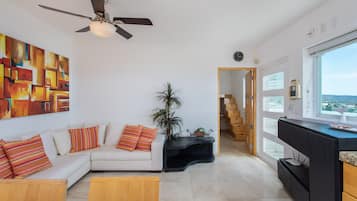 Smart TV, DVD player, video library