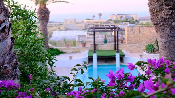 Zona de piscina con una pérgola, rodeada de exuberante vegetación y flores moradas.