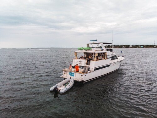 Affordable luxury yacht charters.