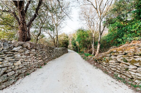 A narrow, stone-walled path flanked by trees and greenery, leading into a forested area.