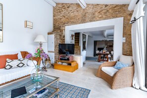 Smart TV, fireplace, DVD player, books