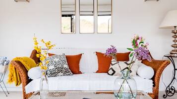 Een smart-tv, een open haard, een dvd-speler en boeken