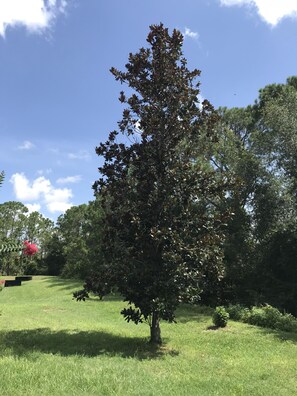 Property grounds - Premier Host Rated Villa - Private solar heated pool & family games room (Davenport)