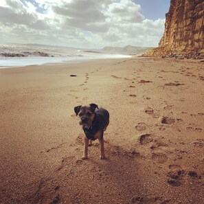 Playa en los alrededores