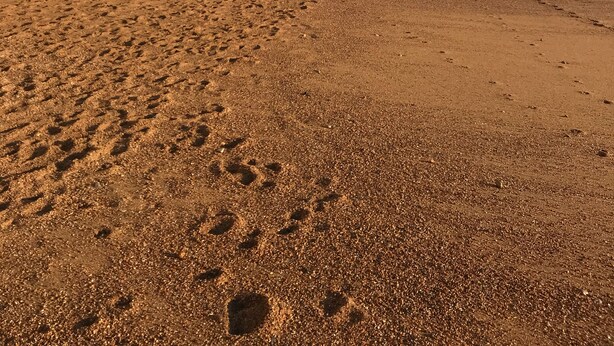 Una playa con acantilados escalonados y un cielo despejado.