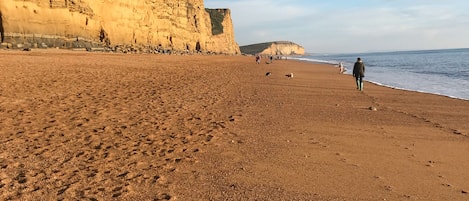 Vlak bij het strand