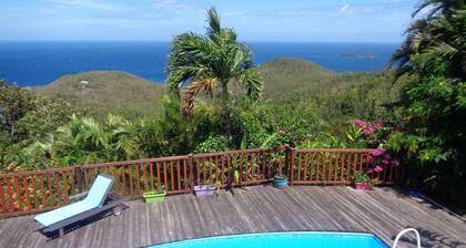 Villa Fleur de Lune piscine vue mer des CaraĂŻbes Bouillante