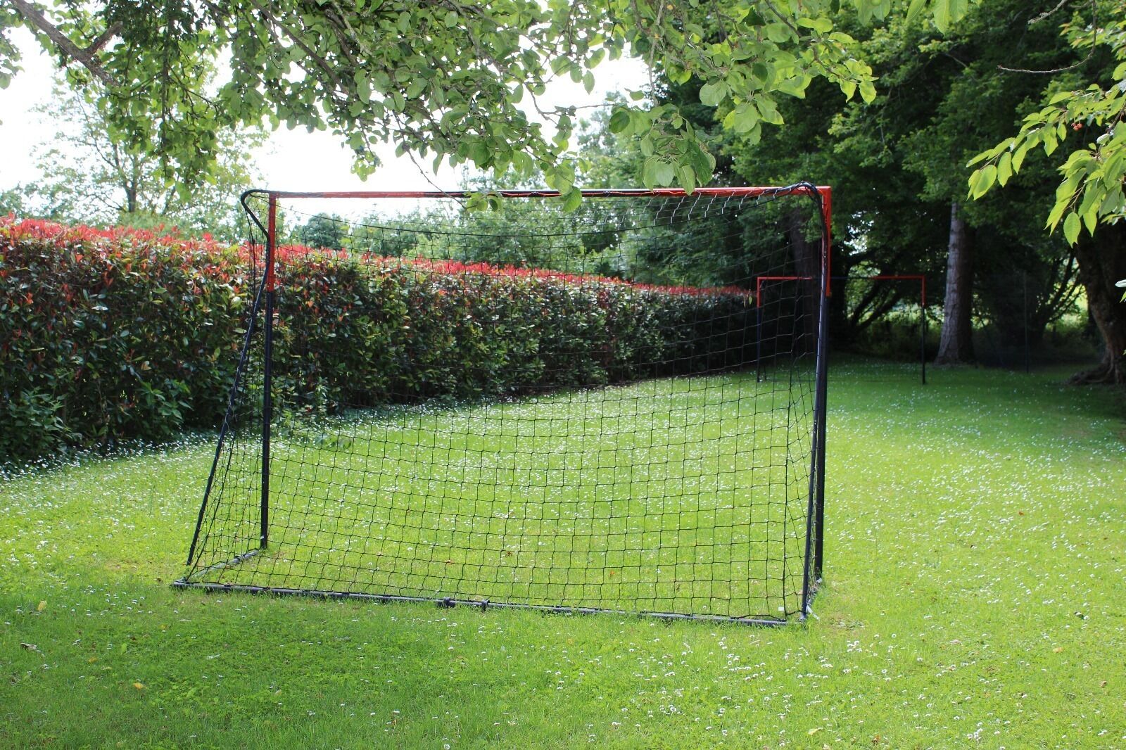 A soccer goal in a grassy area with a hedge and trees in the background.