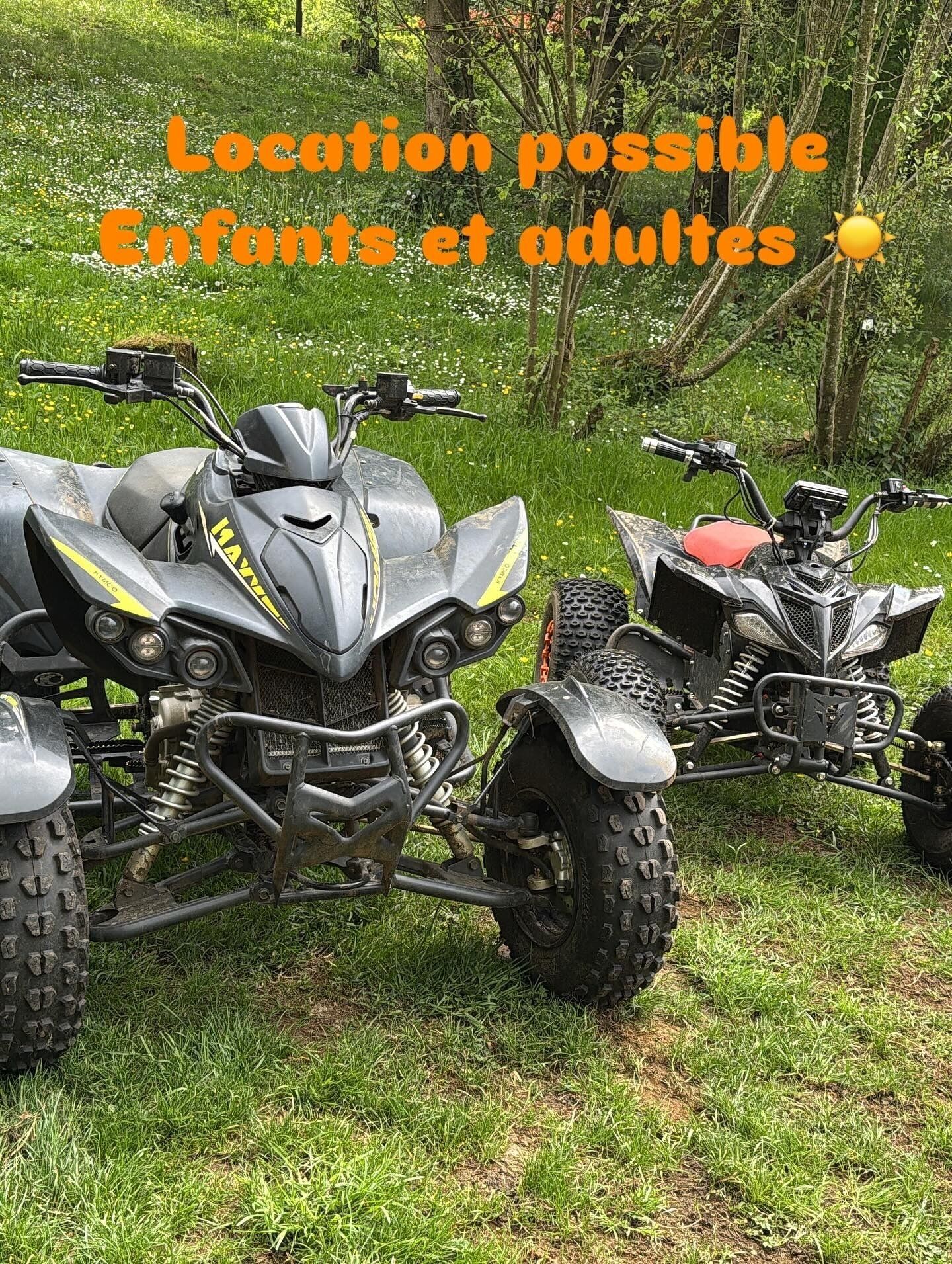 Twee quads staan op het gras, met een bos op de achtergrond.