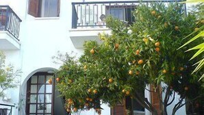 Een gebouw met een balkon en een boom vol sinaasappels.