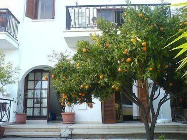 A building with a balcony and a tree with oranges.