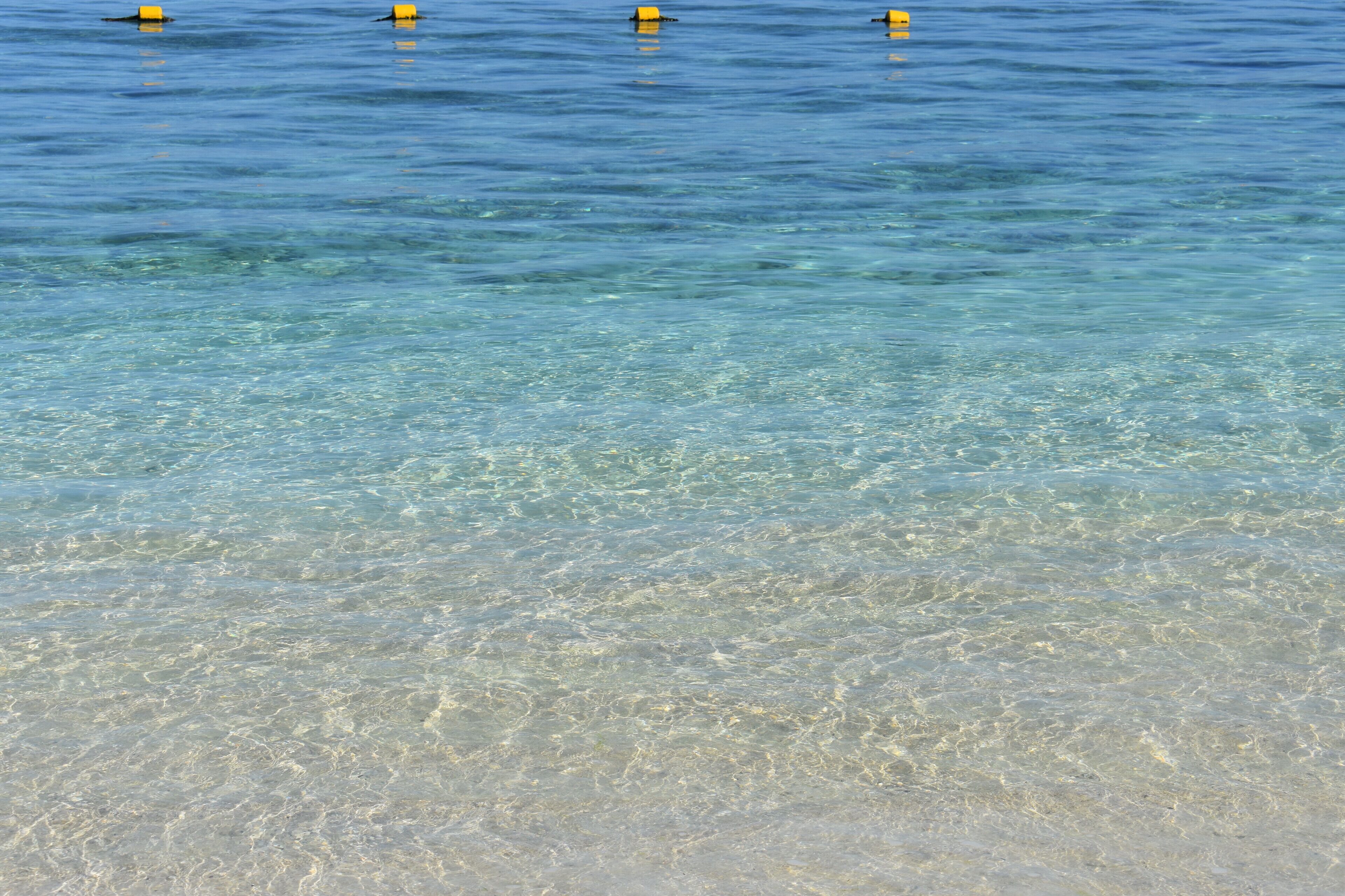 بالقرب من الشاطئ