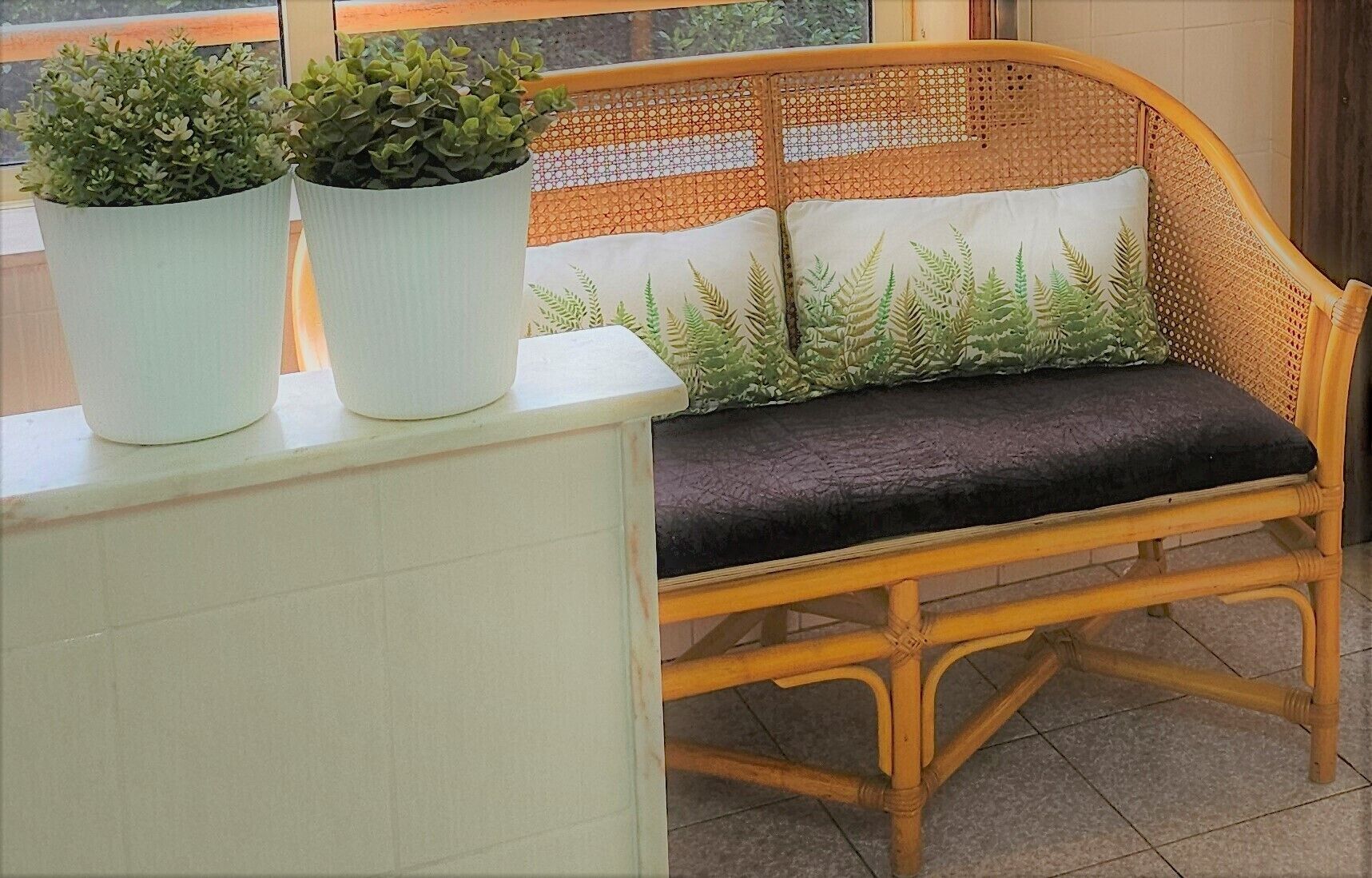 Una silla de mimbre con un cojín y dos macetas con plantas sobre una superficie blanca.