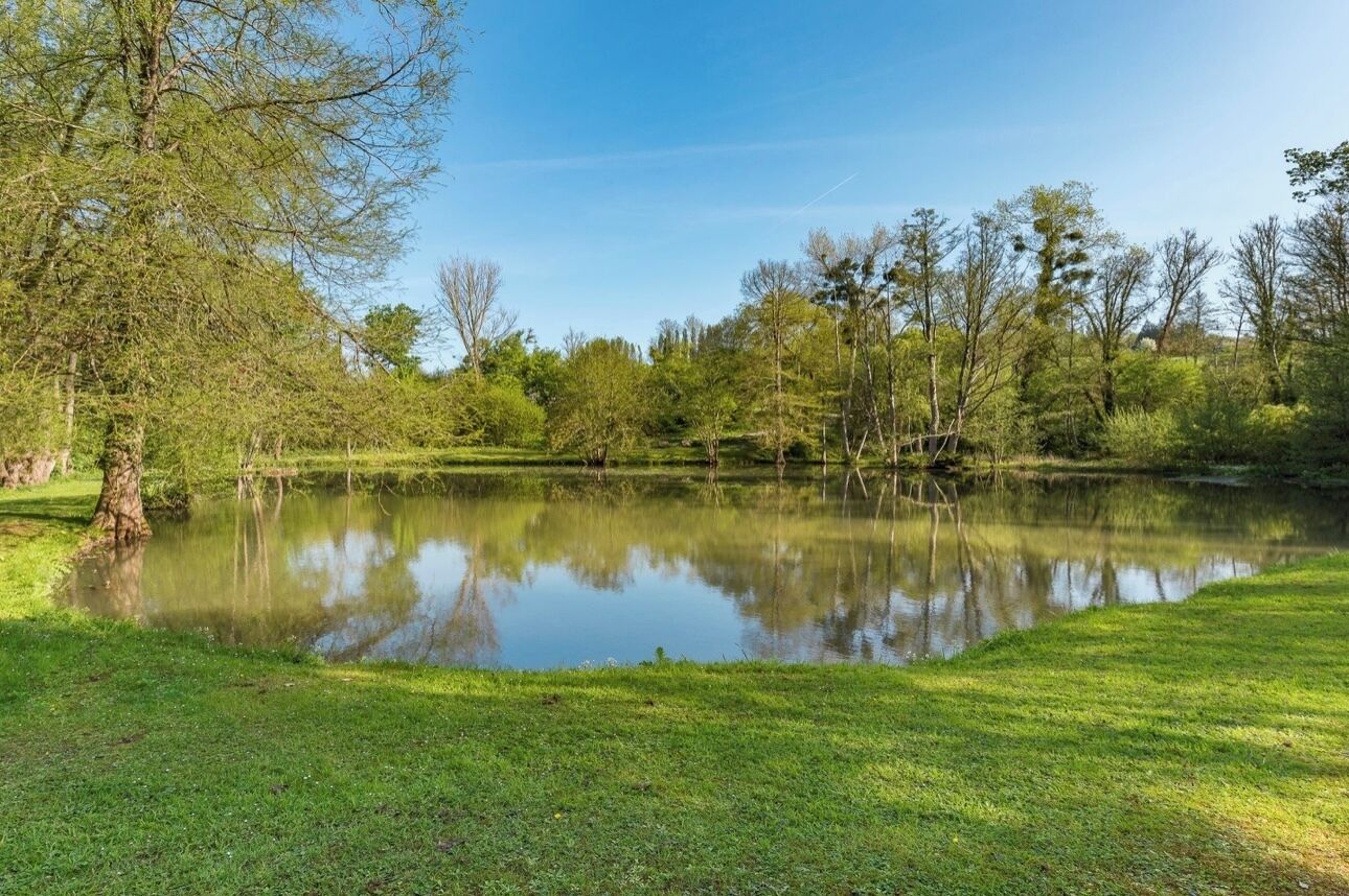 Uno stagno tranquillo circondato da vegetazione lussureggiante e alberi.