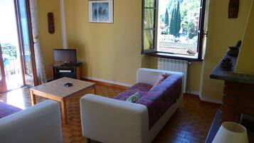 TV, fireplace, books