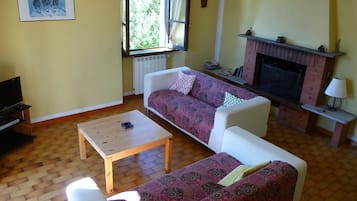Télévision, cheminée, livres