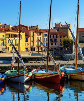 Un port de plaisance où sont amarrés plusieurs bateaux aux couleurs vives.