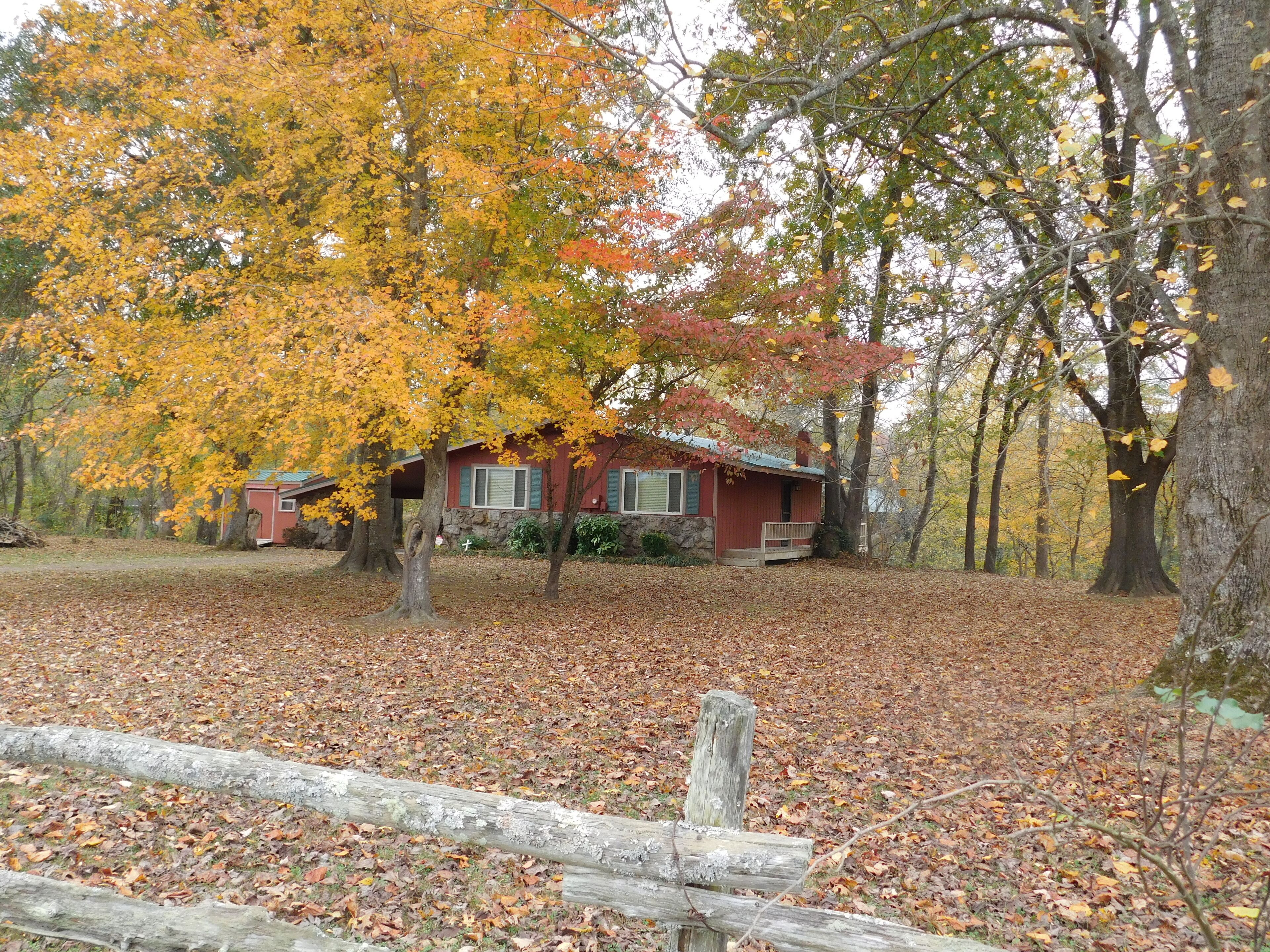 The Little Red Cabin<br>