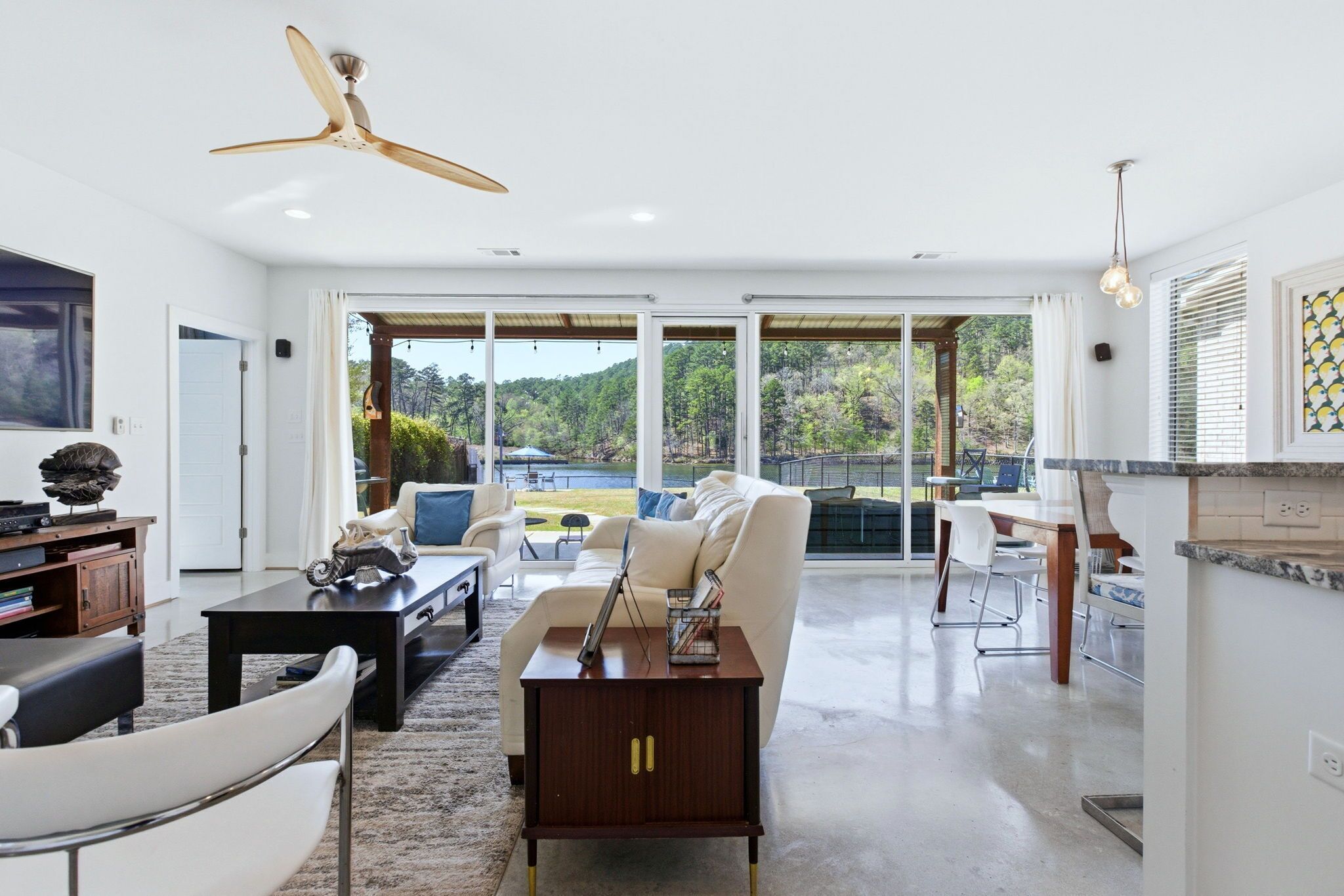 TV connectée, cheminée, lecteur de DVD, livres