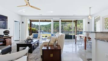 TV connectée, cheminée, lecteur de DVD, livres