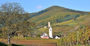 Unclassified image, 4 of 22, button