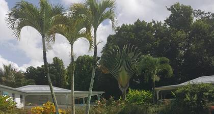 Bungalow créol / piscine dans jardin exotique (4 personnes)